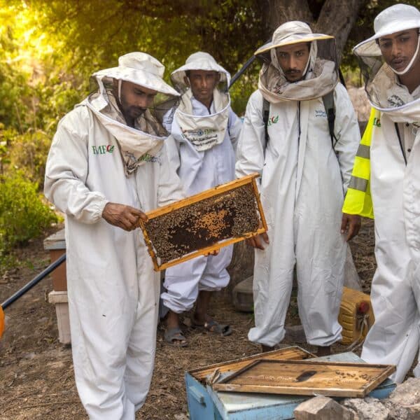 resized_DSC05615 Resized DSC05615