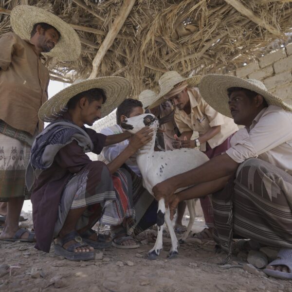 resized_DSC07520 Resized DSC07520