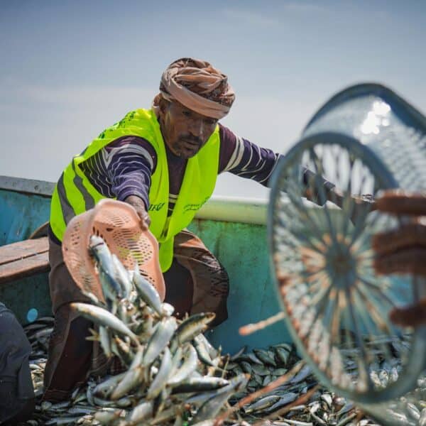 resized_DSC07995-2 Resized DSC07995 2