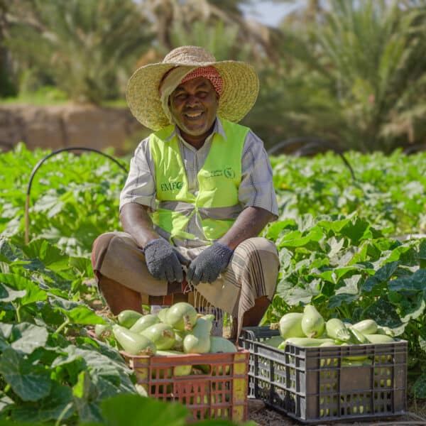 DSC01564-2 DSC01564 2