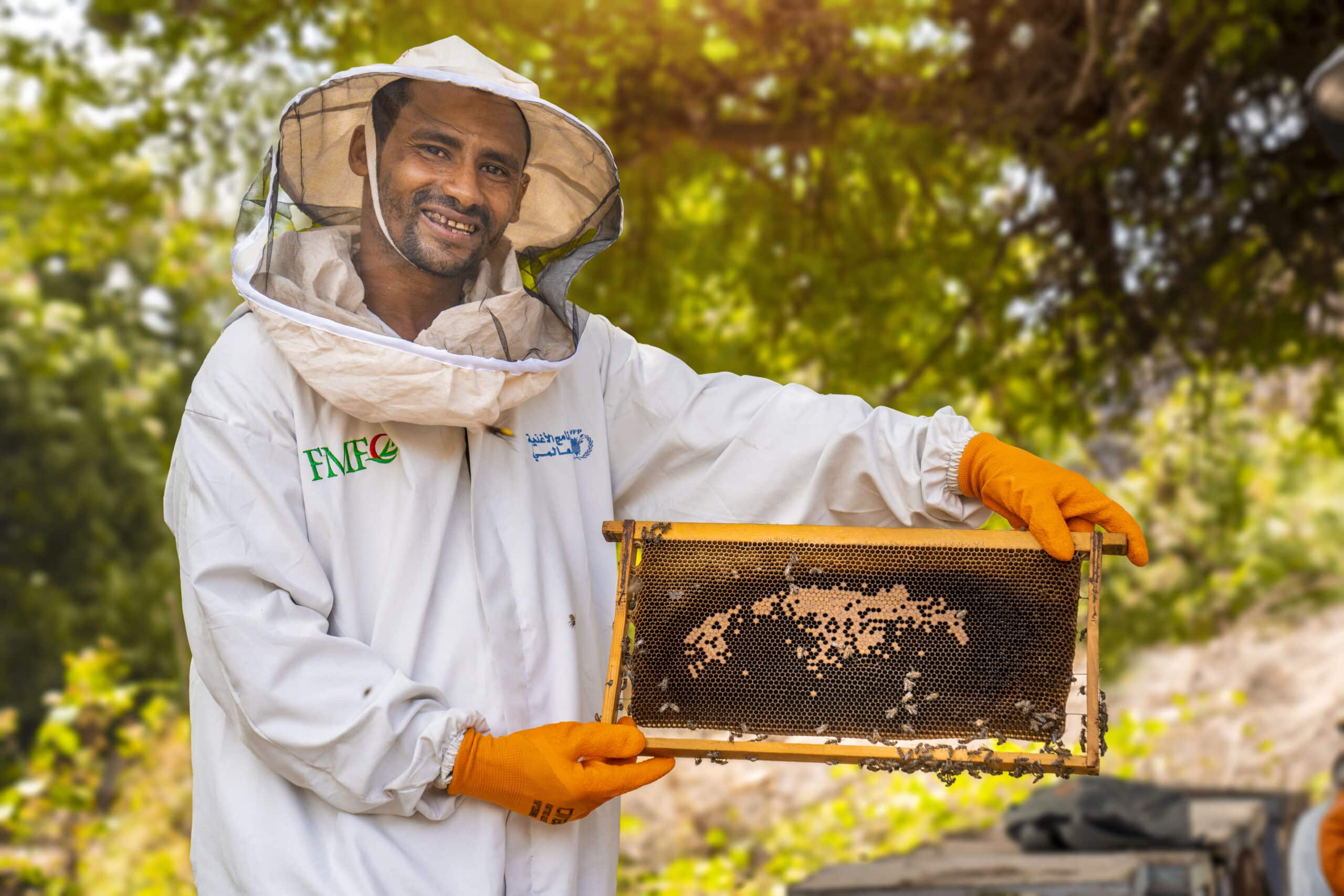 Supporting beekeepers in Yemen FMF Supporting beekeepers in Yemen