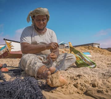 DSC07860 DeNoiseAI clear 2 360x320