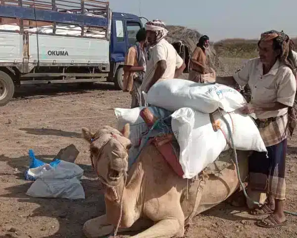 IMG-20220310-WA0023.webp IMG 20220310 WA0023 webp