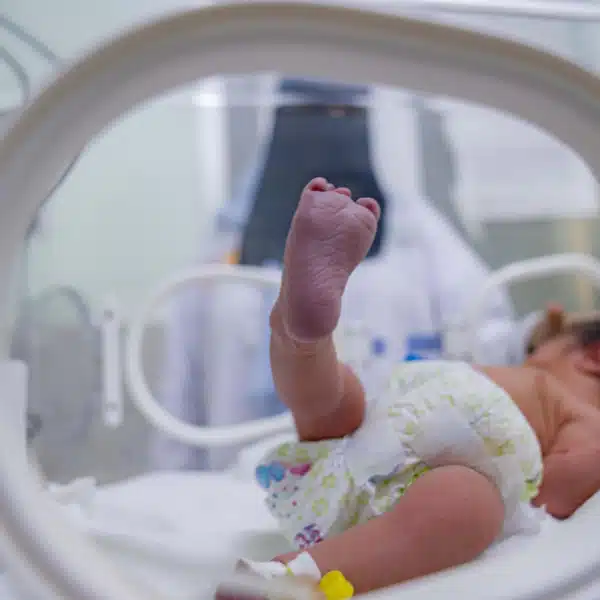 resized_DSC02692 (11) Resized DSC02692 (11)