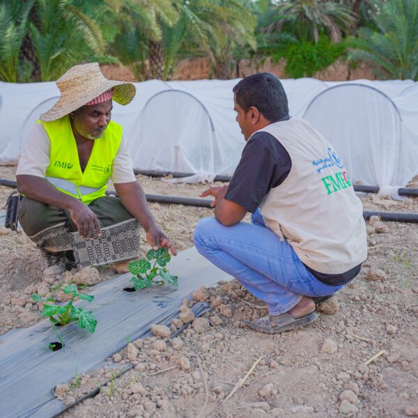 DSC00553-2 DSC00553 2