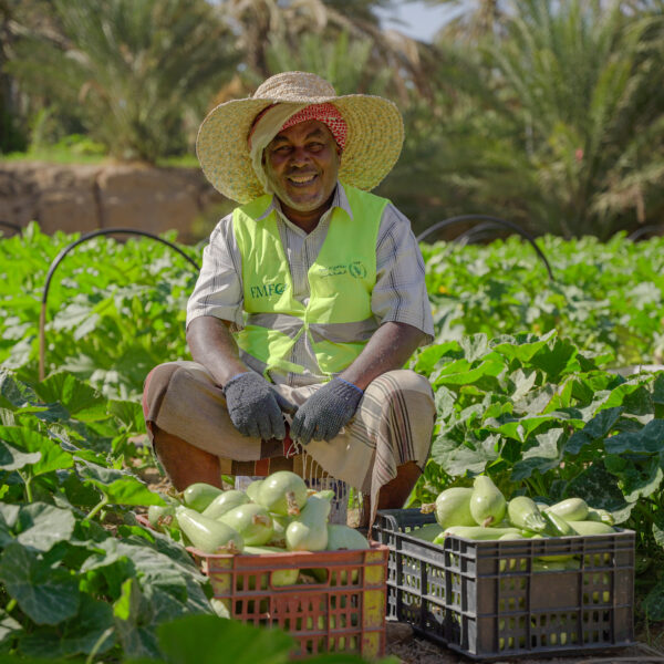 DSC01564-3 DSC01564 3