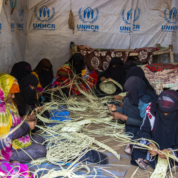 IMG_3714 copy IMG 3714 copy